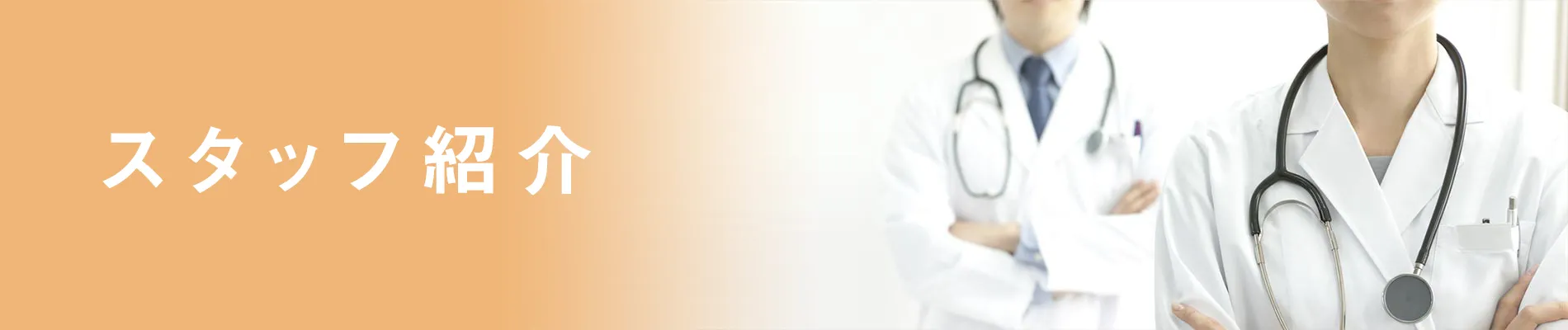 スタッフ紹介