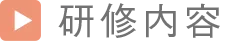 研修内容